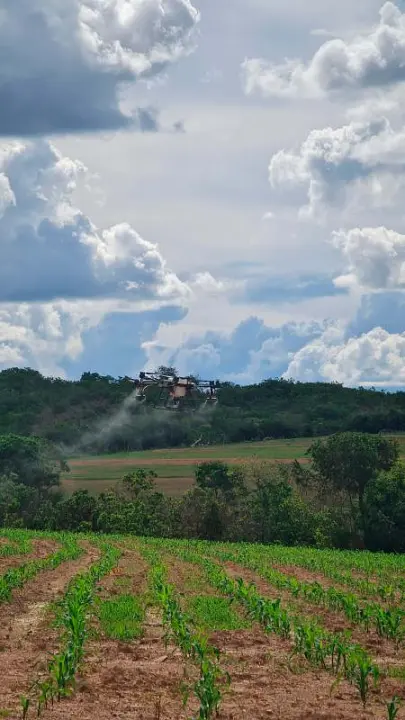 Pulverização de lavoura com drone